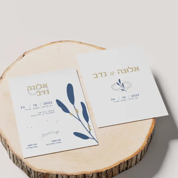 מוקאפ אביגיל